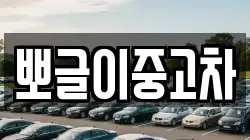 뽀글이중고차