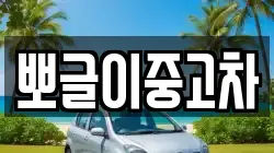뽀글이중고차