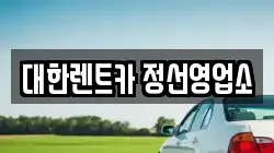 대한렌트카 정선영업소