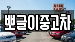 뽀글이중고차