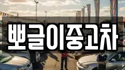 뽀글이중고차