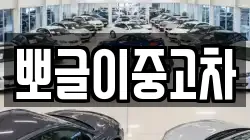 뽀글이중고차
