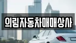 강원특별자치도 정선군 여량면 렌트카,단기렌트카,장기렌트카,중고차,중고차매매,중고차매입