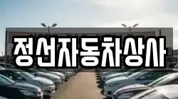 정선자동차상사