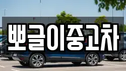 뽀글이중고차