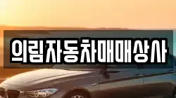 의림자동차매매상사