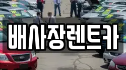 배사장렌트카