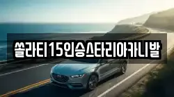 강원특별자치도 춘천시 낙원동 렌트카,단기렌트카,장기렌트카,중고차,중고차매매,중고차매입