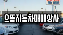 으뜸자동차매매상사