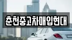 춘천중고차매입현대