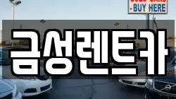 금성렌트카