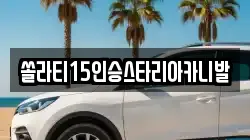 쏠라티15인승스타리아카니발