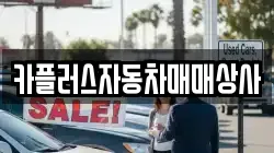 카플러스자동차매매상사