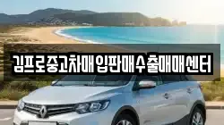 김프로중고차매입판매수출매매센터