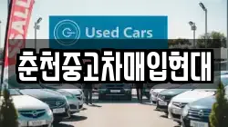 춘천중고차매입현대