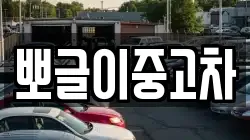 뽀글이중고차