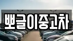 뽀글이중고차