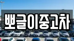 뽀글이중고차