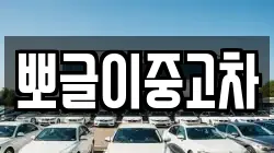 뽀글이중고차