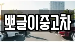 뽀글이중고차