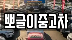 뽀글이중고차