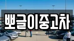 뽀글이중고차