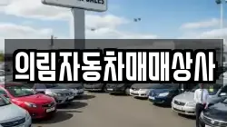 의림자동차매매상사