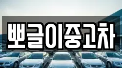 뽀글이중고차