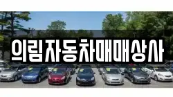 의림자동차매매상사