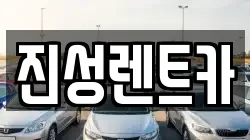 진성렌트카