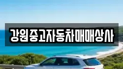 강원중고자동차매매상사