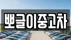 뽀글이중고차