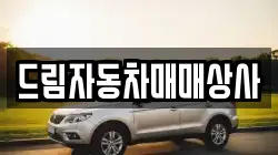 드림자동차매매상사