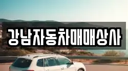 강남자동차매매상사