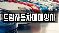 드림자동차매매상사