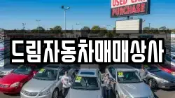 드림자동차매매상사