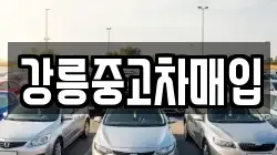 강릉중고차매입