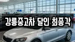 강릉중고차 달인 최종각