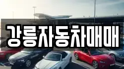 강릉자동차매매