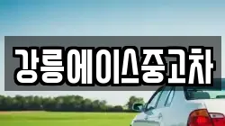 강릉에이스중고차