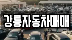 강릉자동차매매