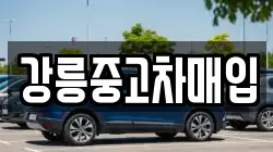 강릉중고차매입