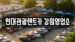 강원 강릉시 남문동 렌트카,단기렌트카,장기렌트카,중고차,중고차매매,중고차매입