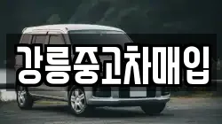 강릉중고차매입