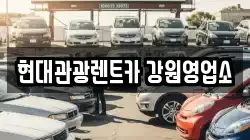 강원 강릉시 내곡동 렌트카,단기렌트카,장기렌트카,중고차,중고차매매,중고차매입