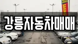 강릉자동차매매