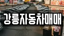 강릉자동차매매