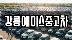 강릉에이스중고차