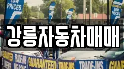 강릉자동차매매