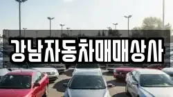 강남자동차매매상사